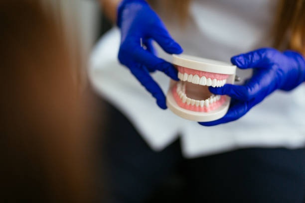 Trusted Nesconset, NY Holistic Dental Care Services Experts